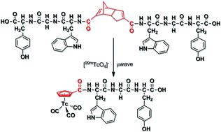 Graphical abstract: Synthesis of tripeptide derivatized cyclopentadienyl complexes of technetium and rhenium as radiopharmaceutical probes