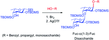Graphical abstract: An unusual glycosylation product from a partially protected fucosyl donor under silver triflate activation conditions