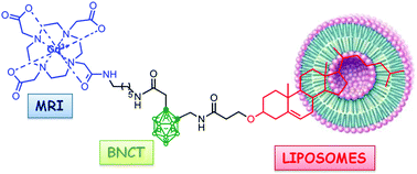 Graphical abstract: Synthesis of a carborane-containing cholesterol derivative and evaluation as a potential dual agent for MRI/BNCT applications