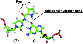 Graphical abstract: A new modified cytosine base capable of base pairing with guanine using four hydrogen bonds