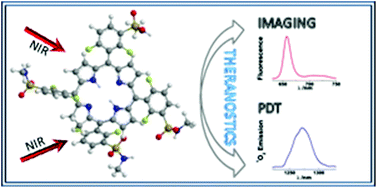 Graphical abstract: The challenging combination of intense fluorescence and high singlet oxygen quantum yield in photostable chlorins – a contribution to theranostics
