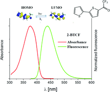 Graphical abstract: Spectral characteristics of carbonyl substituted 2,2′-bithiophenes in polymer matrices and low polar solvents