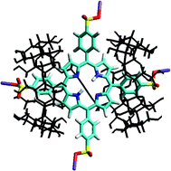Graphical abstract: Femto- to micro-second photobehavior of photosensitizer drug trapped within a cyclodextrin dimer