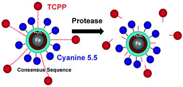 Graphical abstract: Nanoplatforms for highly sensitive fluorescence detection of cancer-related proteases
