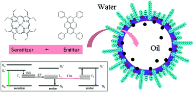 Graphical abstract: A triplet–triplet annihilation based up-conversion process investigated in homogeneous solutions and oil-in-water microemulsions of a surfactant
