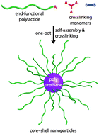 Graphical abstract: Synthesis, assembly, and cross-linking of polymer amphiphiles in situ: polyurethane–polylactide core–shell particles