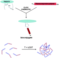 Graphical abstract: Smart heparin-based bioconjugates synthesized by a combination of ATRP and click chemistry