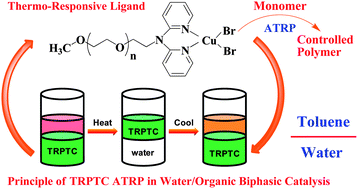 Graphical abstract: Atom transfer radical polymerization of methyl methacrylate with a thermo-responsive ligand: construction of thermoregulated phase-transfer catalysis in an aqueous–organic biphasic system