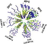 Graphical abstract: Supramolecular micelles with dual temperature and redox responses for multi-controlled drug release