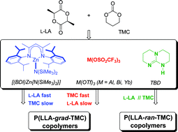 Graphical abstract: Macromolecular engineering via ring-opening polymerization (2): l-lactide/trimethylene carbonate copolymerization – kinetic and microstructural control via catalytic tuning