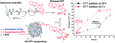Graphical abstract: A hyaluronic acid–camptothecin nanoprodrug with cytosolic mode of activation for targeting cancer