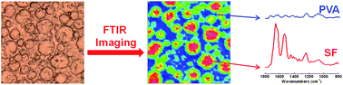 Graphical abstract: FTIR imaging, a useful method for studying the compatibility of silk fibroin-based polymer blends