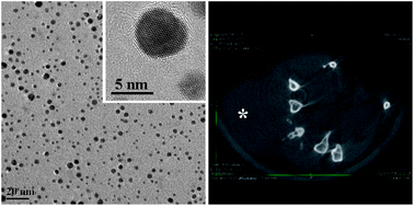 Graphical abstract: Targeted tumor CT imaging using folic acid-modified PEGylated dendrimer-entrapped gold nanoparticles
