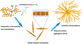 Graphical abstract: Cooperative self-assembly and crystallization into fractal patterns by PNIPAM-based nonlinear multihydrophilic block copolymers under alkaline conditions