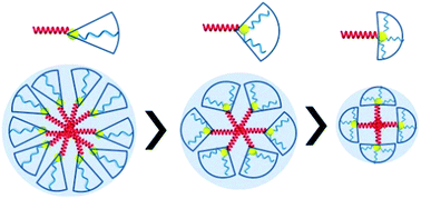 Graphical abstract: Precise synthesis of a rod-coil type miktoarm star copolymer containing poly(n-hexyl isocyanate) and aliphatic polyester