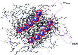 Graphical abstract: Micellar-cluster association of ureidopyrimidone functionalized monochelic polybutadiene