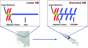 Graphical abstract: Role of branching of hydrophilic domain on physicochemical properties of amphiphilic macromolecules