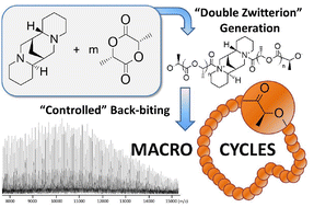 Graphical abstract: One-step synthesis of polylactide macrocycles from sparteine-initiated ROP
