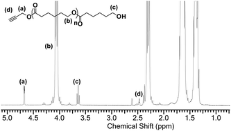 Graphical abstract: Enzyme-catalyzed ring-opening polymerization of ε-caprolactone using alkyne functionalized initiators