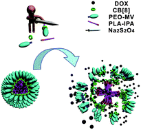 Graphical abstract: Biocompatible and biodegradable supramolecular assemblies formed with cucurbit[8]uril as a smart platform for reduction-triggered release of doxorubicin