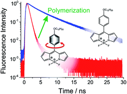 Graphical abstract: Monitoring of viscosity changes during free radical polymerization using fluorescence lifetime measurements