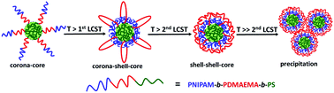 Graphical abstract: Doubly thermo-responsive ABC triblock copolymer nanoparticles prepared through dispersion RAFT polymerization