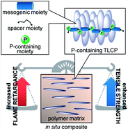 Graphical abstract: Phosphorus-containing thermotropic liquid crystalline polymers: a class of efficient polymeric flame retardants