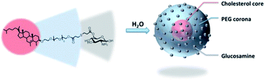 Graphical abstract: Elaboration of drug nanocarriers based on a glucosamine labeled amphiphilic polymer