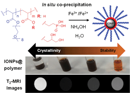Graphical abstract: A block copolymer-stabilized co-precipitation approach to magnetic iron oxide nanoparticles for potential use as MRI contrast agents