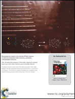 Graphical abstract: Back cover