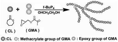 Graphical abstract: One-step synthesis of hyperbranched biodegradable polymer