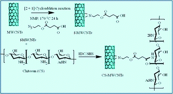 Graphical abstract: Mechanically robust biocomposite films of chitosan grafted carbon nanotubes via the [2 + 1] cycloaddition of nitrenes
