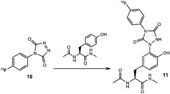 Graphical abstract: Synthesis of [18F]4-(4-fluorophenyl)-1,2,4-triazole-3,5-dione: an agent for specific radiolabelling of tyrosine