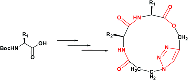 Graphical abstract: Design and synthesis of cyclic depsipeptides containing triazole (CDPT) rings
