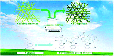 Graphical abstract: Polydopamine-coated cellulose microfibrillated membrane as high performance lithium-ion battery separator