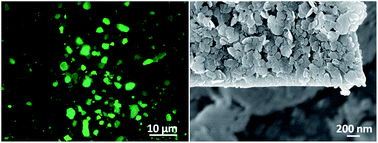 Graphical abstract: Selective MW-assisted surface chemical tailoring of hydrotalcites for fluorescent and biocompatible nanocomposites