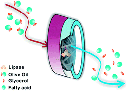 Graphical abstract: Kinetics-bolstered catalytic study of a high performance lipase-immobilized nanofiber membrane bioreactor