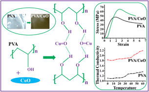 Graphical abstract: CuO nanoellipsoids for superior physicochemical response of biodegradable PVA
