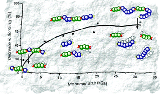 Graphical abstract: Harnessing entropy to direct the bonding/debonding of polymer systems based on reversible chemistry