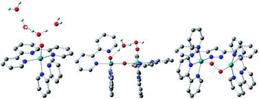 Graphical abstract: Competitive oxygen-18 kinetic isotope effects expose O–O bond formation in water oxidation catalysis by monomeric and dimeric ruthenium complexes
