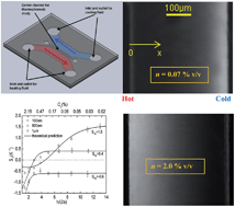 Graphical abstract: Collective effects on thermophoresis of colloids: a microfluidic study within the framework of DLVO theory