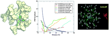 Graphical abstract: Molecular dynamics simulations of PPI dendrimer–drug complexes