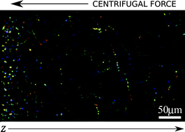 Graphical abstract: Motility fractionation of bacteria by centrifugation