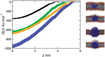 Graphical abstract: Permeation of polystyrene nanoparticles across model lipid bilayer membranes