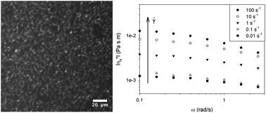 Graphical abstract: Interfacial shear rheology of DPPC under physiologically relevant conditions