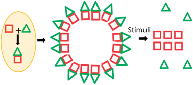 Graphical abstract: Hierarchical molecular self-assemblies: construction and advantages