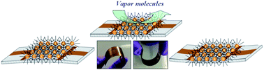 Graphical abstract: Flexibility characteristics of a polyethylene terephthalate chemiresistor coated with a nanoparticle thin film assembly