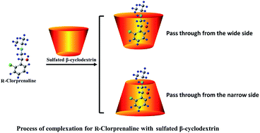 Graphical abstract: Quantitative prediction of enantioseparation using β-cyclodextrin derivatives as chiral selectors in capillary electrophoresis