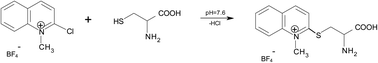 Graphical abstract: Simultaneous determination of total homocysteine and cysteine in human plasma by capillary zone electrophoresis with pH-mediated sample stacking