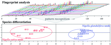 Graphical abstract: UPLC-Q-TOF/MS characterization, HPLC fingerprint analysis and species differentiation for quality control of Nigella glandulifera Freyn et Sint seeds and Nigella sativa L. seeds